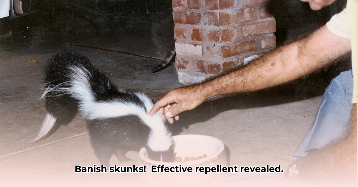 skunk-repellent-tractor-supply
